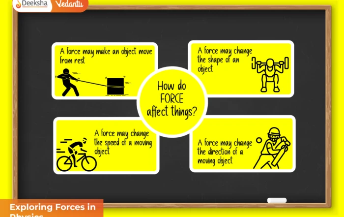 Exploring Forces in Physics