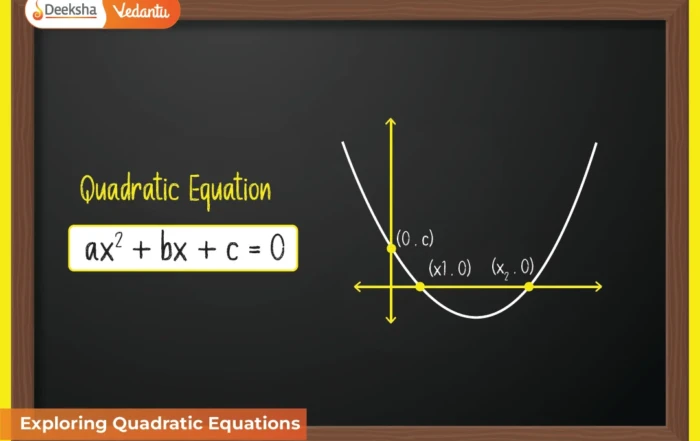Exploring Quadratic Equations