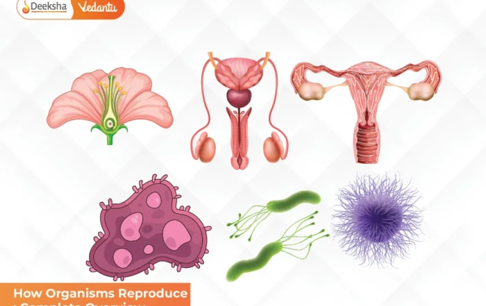 How Organisms Reproduce Complete Overview