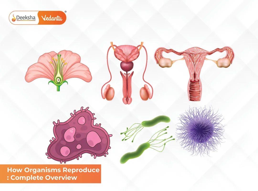 How Organisms Reproduce: Complete Overview