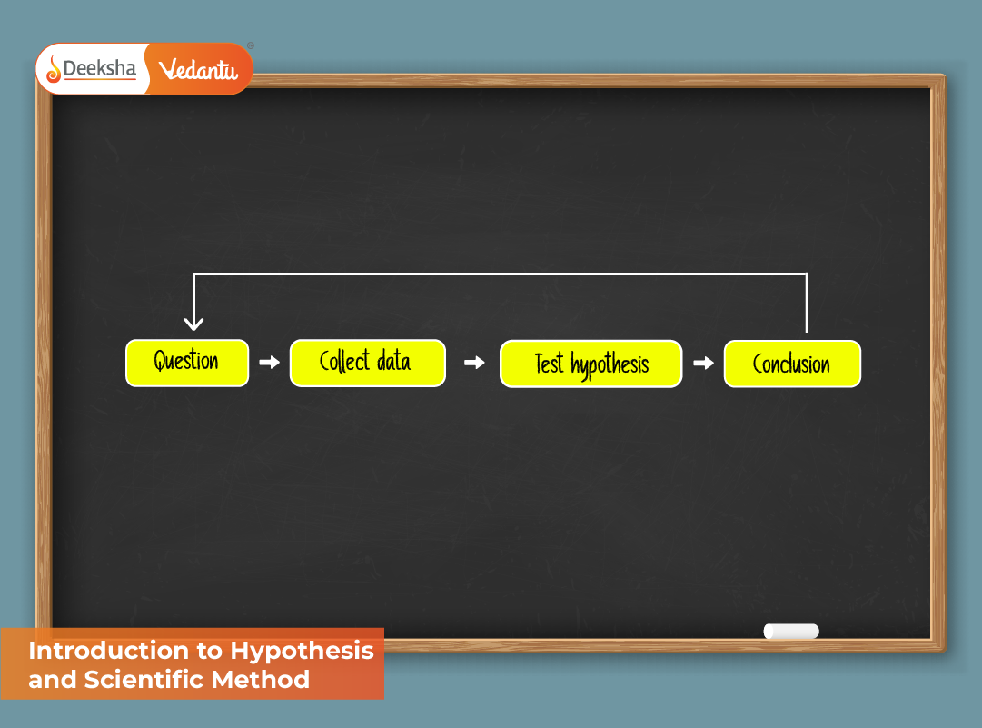 Introduction to Hypothesis and Scientific Method Introduction to Hypothesis and Scientific Method