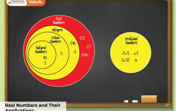 Real Numbers and Their Applications