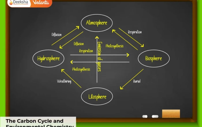 The Carbon Cycle and Environmental Chemistry