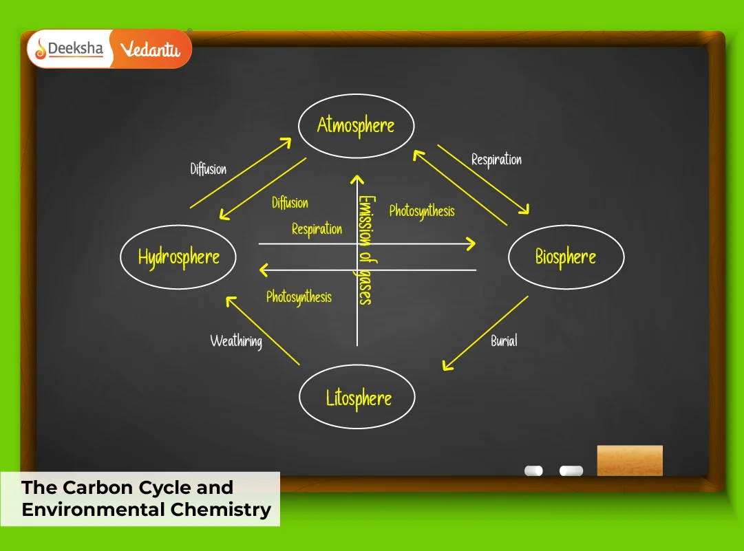 The Carbon Cycle and Environmental Chemistry