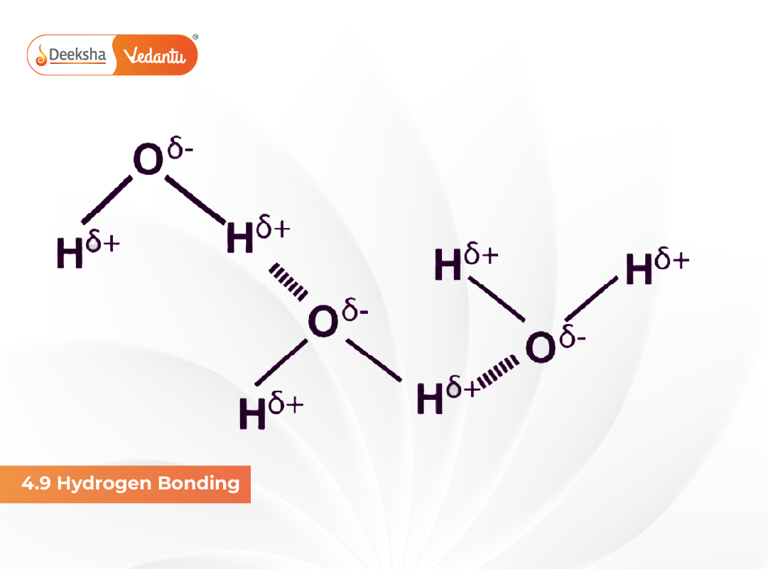 4.9 Hydrogen Bonding 4.9 Hydrogen Bonding