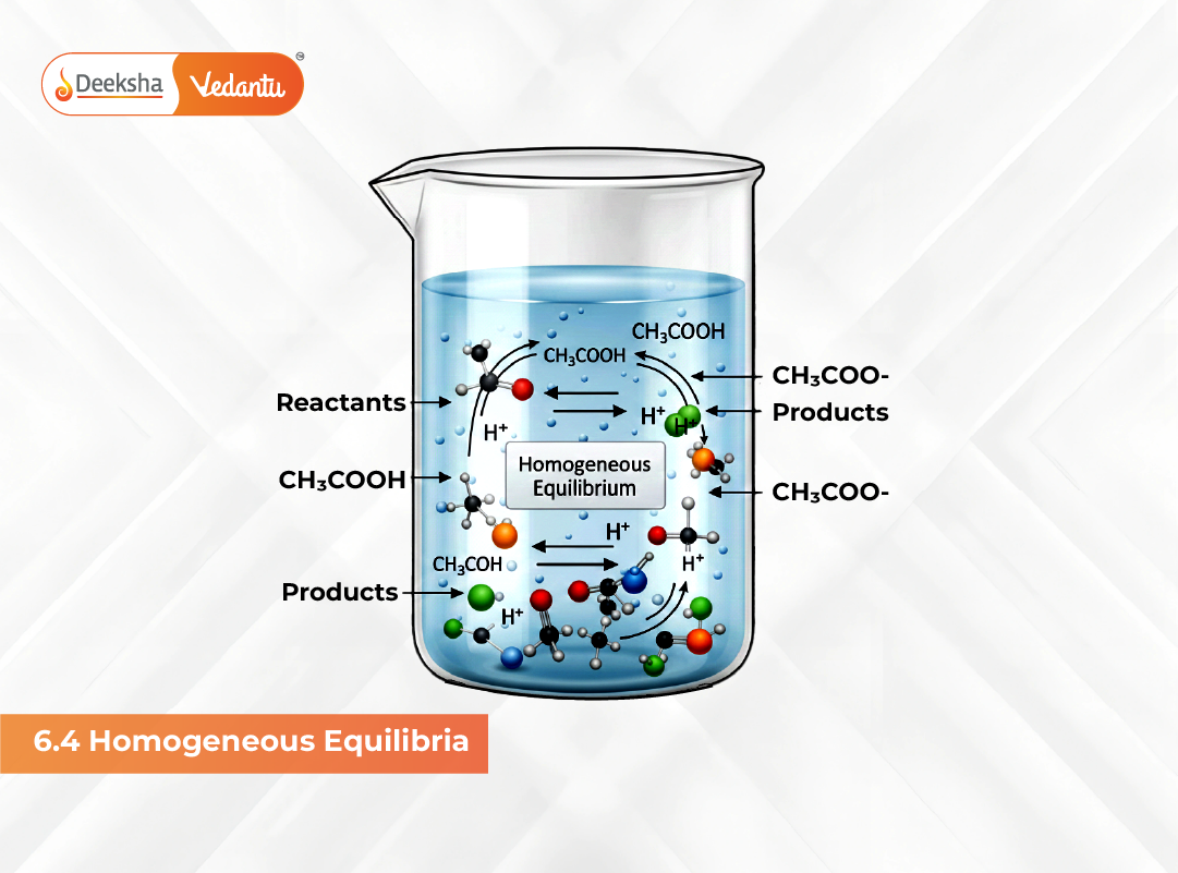 6.4 Homogeneous Equilibria