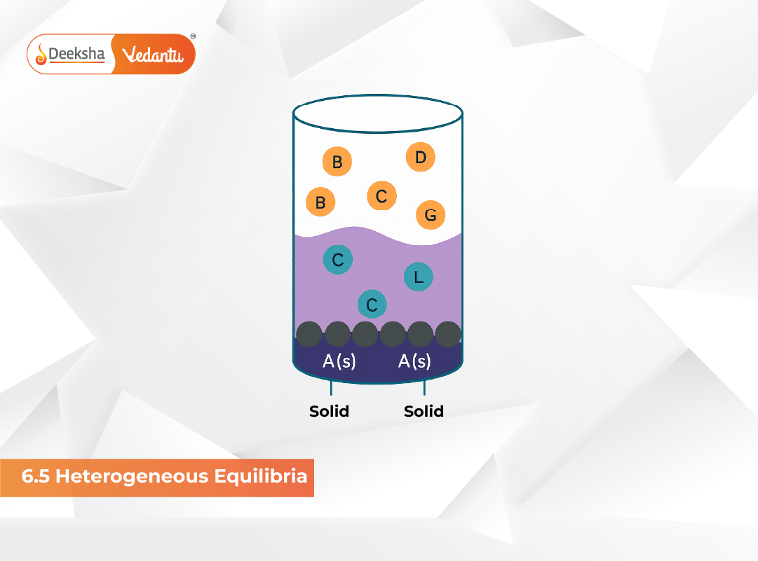 6.5 Heterogeneous Equilibria