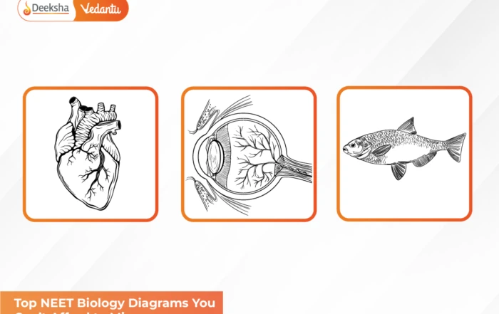 Top NEET Biology Diagrams You Can’t Afford to Miss