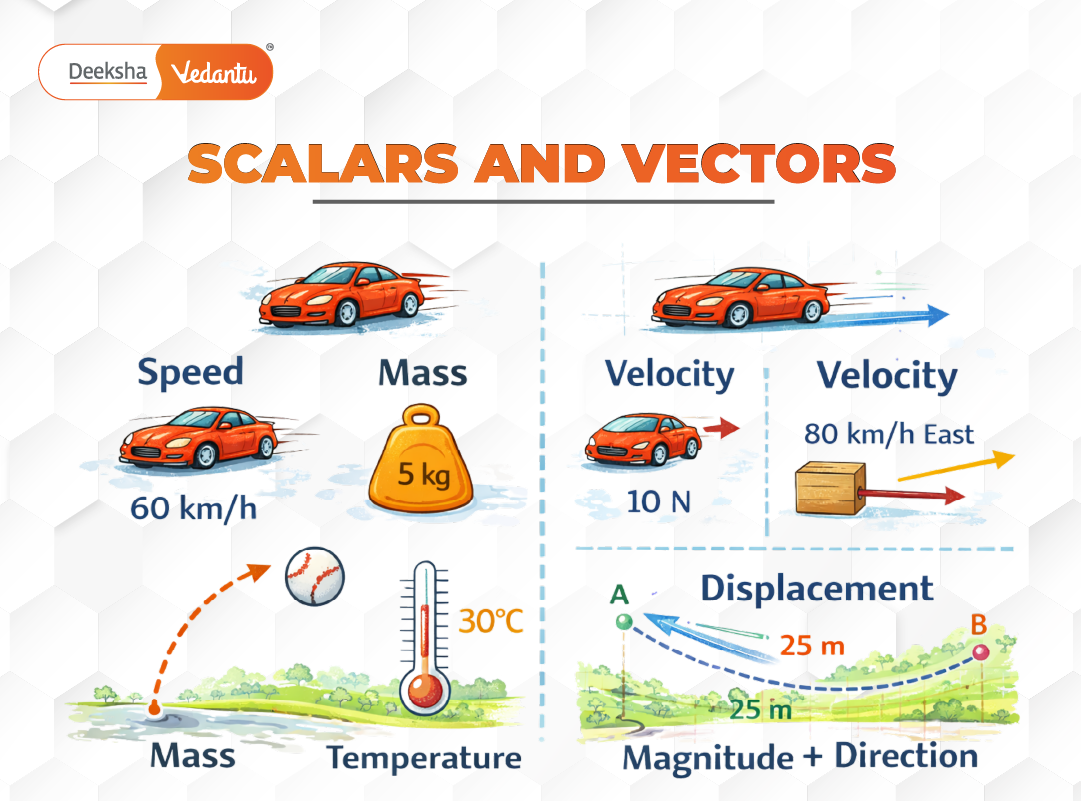 3.2 Scalars and Vectors 3.2 Scalars and Vectors