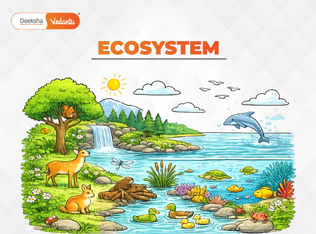 Chapter 12 Ecosystem