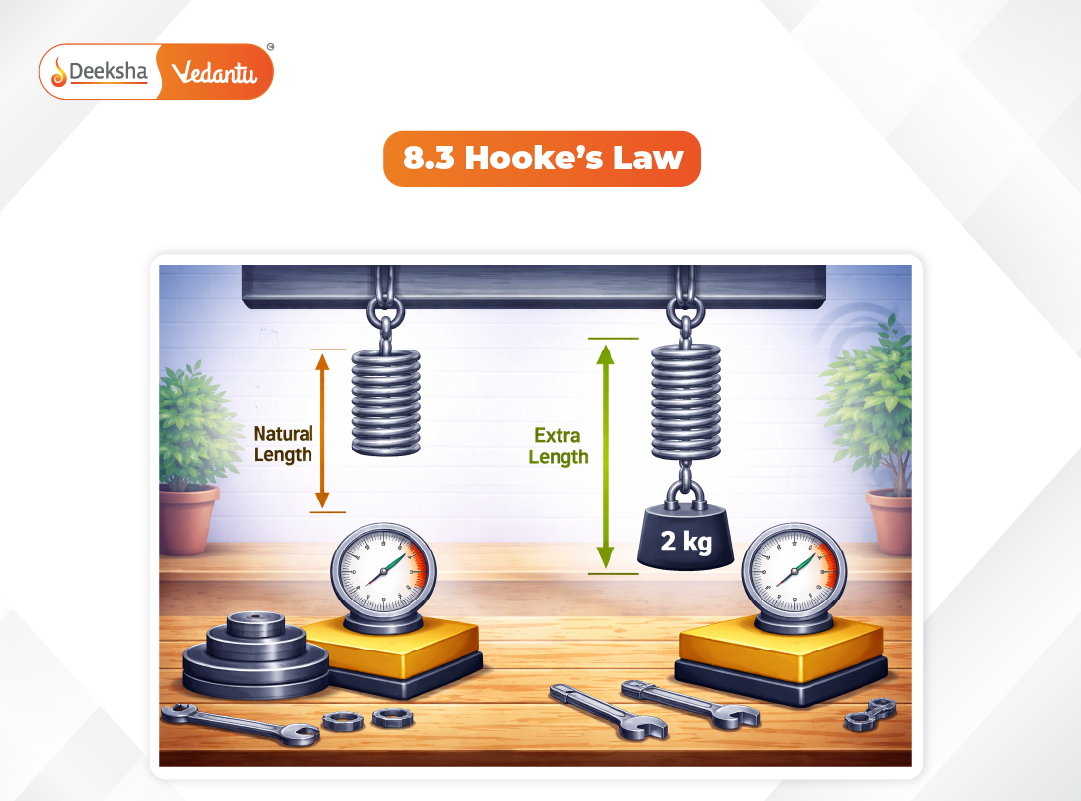 8.3 Hooke’s Law 8.3 Hooke’s Law