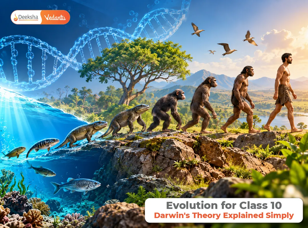 Evolution for Class 10 Darwins Theory Explained Simply Evolution for Class 10 Darwins Theory Explained Simply