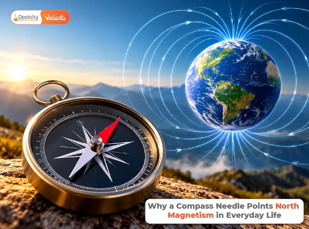 Why a Compass Needle Points North Magnetism in Everyday Life