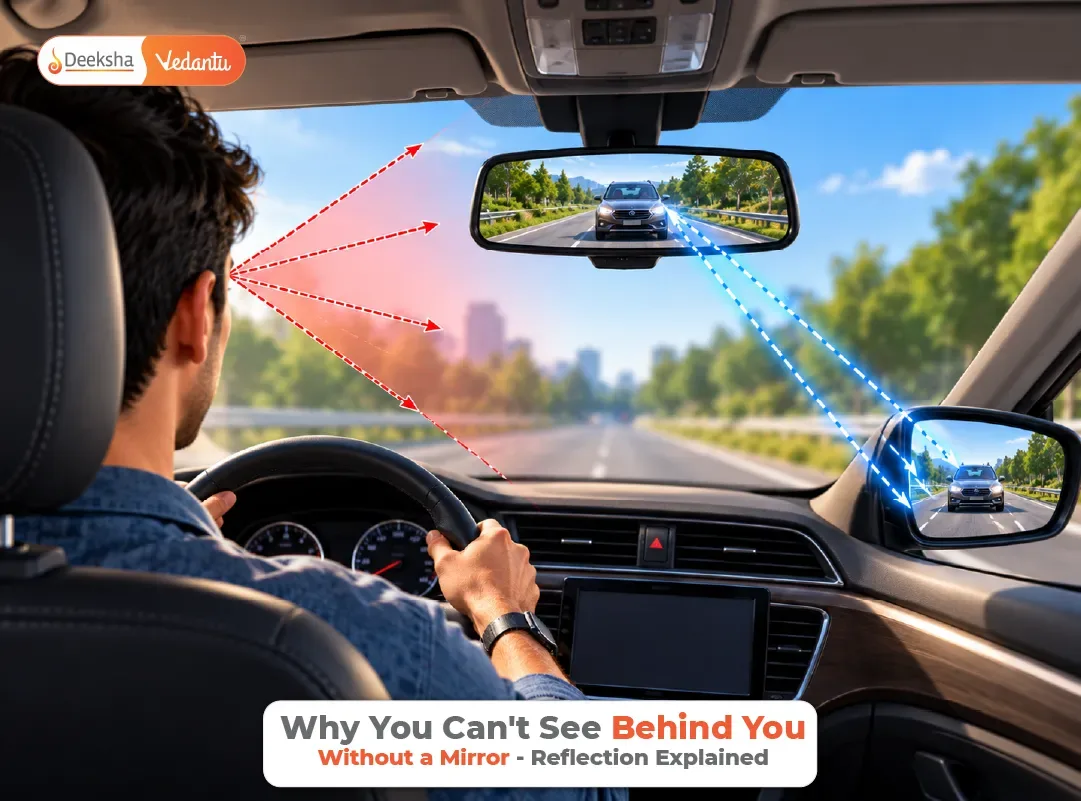 Why You Cant See Behind You Without a Mirror Reflection Explained